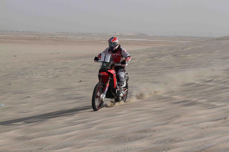 Goncalves_224