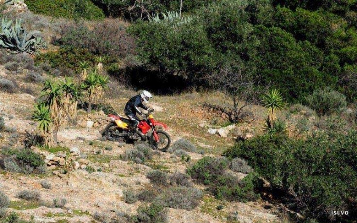 DT-2o_ENDURO_MEETING_12