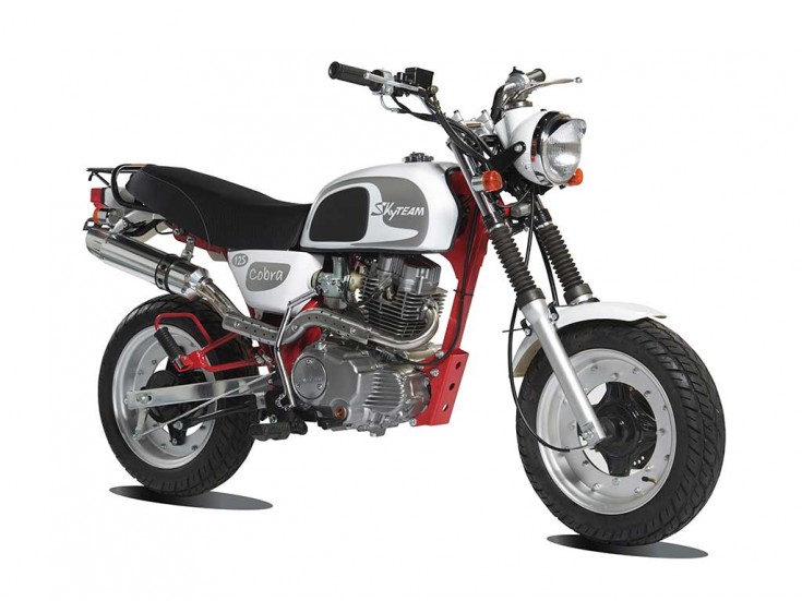 Cobra-125_8427