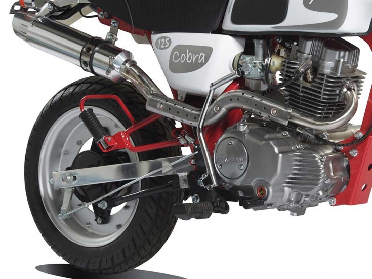 Cobra-125_8428